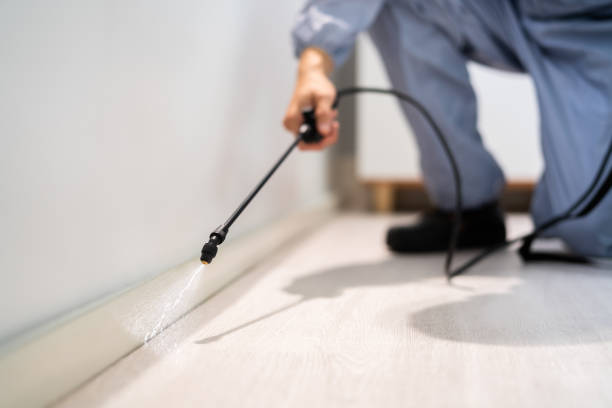 Bed Bug Pre-Treatment Preparation Assessment in Stonecrest