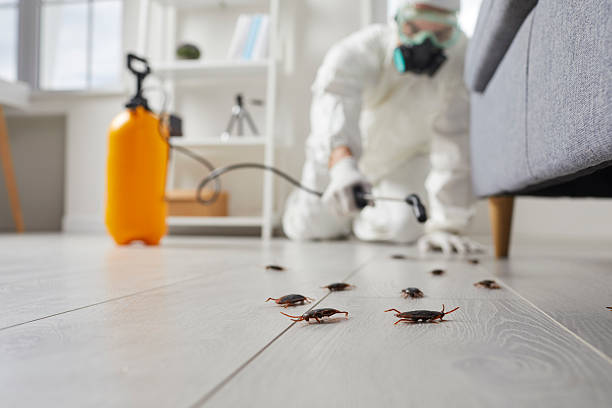 Post-Treatment Bed Bug Interceptor Monitoring in Stonecrest