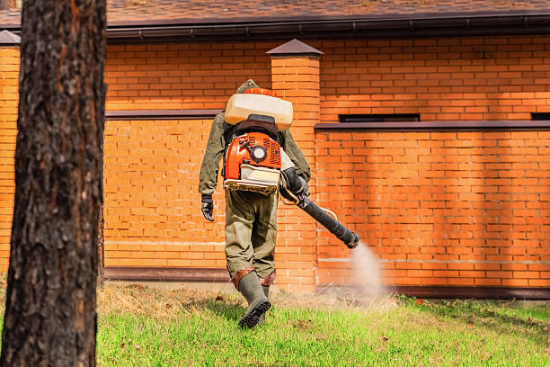 Bed Bug Clearance Verification and Documentation in Stonecrest